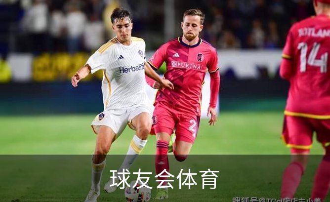 球友会体育介绍